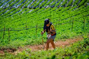 BIB: 320
                            <button type="button" onclick="openModal(19164366)" class="btn btn-primary btn-sm float-right btn-popup" data-toggle="modal" data-target=".modal-high-quality">
                        <i class="fas fa-shopping-cart"></i> Add to Cart
                    </button>
                                            <button type="button" onclick="isThisMe(19164366, true)" class="btn btn-success btn-sm float-right btn-popup btn-isme hidden" data-toggle="tooltip" data-placement="bottom" title="นี่คือรูปของคุณใช่ไหม คลิกที่นี่เพื่อเอาเข้าอัลบั้ม">
                        <i class="fas fa-plus"></i> Add to album
                    </button>
                    <button type="button" onclick="isThisMe(19164366, false)" class="btn btn-warning btn-sm float-right btn-popup btn-isnotme hidden">
                        <i class="fas fa-ban"></i> Remove from album
                    </button>